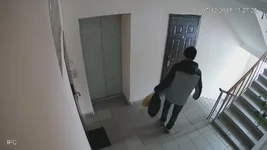 NVR@ch1@main_20181207132716_20181207132747 139.webp