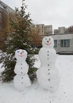 sneg.webp