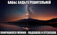9560755.jpg
