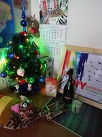 .webp