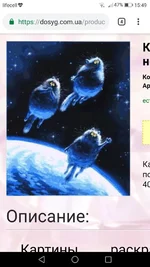 Screenshot_20181212-154953.webp