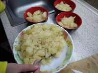 pomelo5.webp