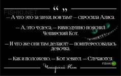 .webp