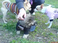 DSC00745.webp