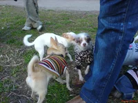 DSC00751.webp