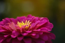DSC01946.webp