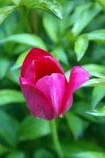 DSC00467.webp