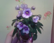 -0283.webp