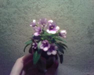 -0285.webp
