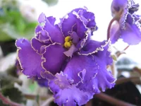  Солнечное затмение_7619.webp