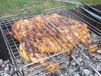 04.webp