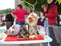 DSC02548.webp