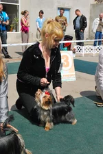 _Смирнова 238.webp