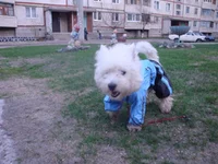 DSC04683.webp