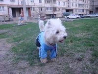 DSC04687.webp