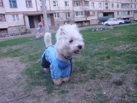 DSC04685.webp