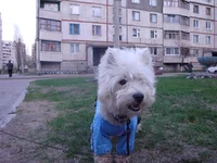 DSC04690.webp