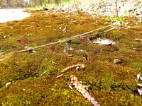 IMG_1931.webp