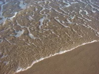 .webp