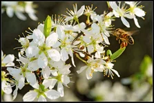DSC32515c.webp