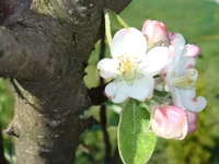 DSC02563.webp