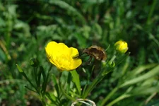 DSC03208.webp