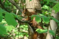 DSC03218.webp