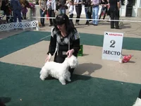 1 069.webp