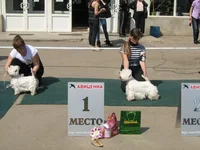 1 086.webp