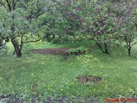 DSC00773.webp