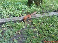 DSC00776.webp