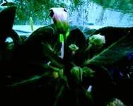 -0311.webp