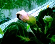 -0312.webp