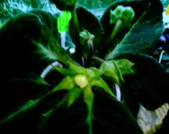 -0313.webp