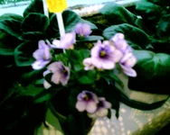 -0314.webp