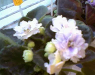 -0315.webp
