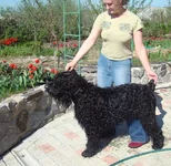  май 2010 278.webp