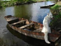  в лодке.webp