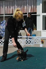 _Смирнова_101.webp