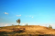 kaknado.webp