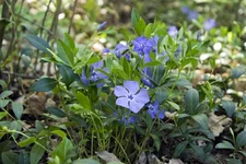 _MG_6476.webp