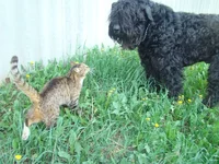  май 2010 395.webp