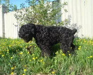  май 2010 398.webp