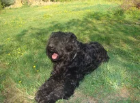  май 2010 419.webp