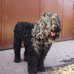  май 2010 451.webp