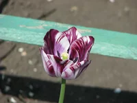 IMG_4991_изменить размер.webp