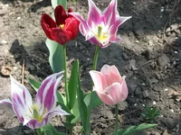 IMG_4996_изменить размер.webp
