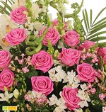 333.webp