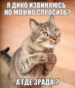 e67bbf2ac5b1e6cbe0d3905f00244a1d1aa2595939deb74e713dfd3799c18083.webp