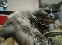 P81222-204803-800x593.webp
